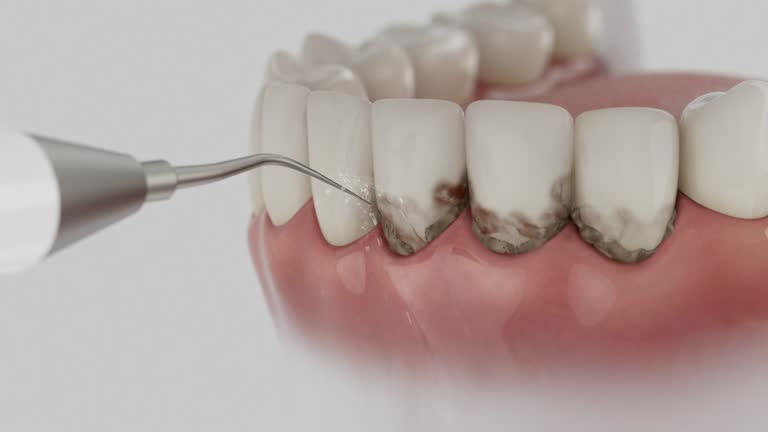 Reliable Dental contractor in Needville, TX by Dentist Open Now